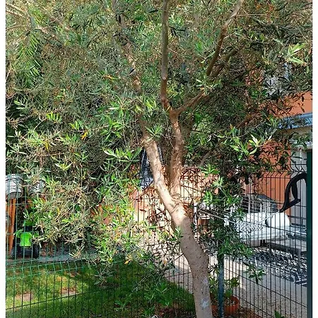 Studio Le Jardin Tournon-sur-Rhone Extérieur photo